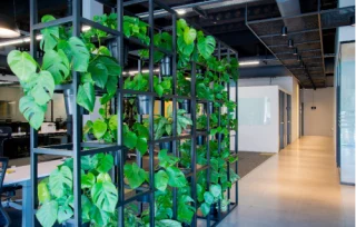 استفاده از طراحی سبز در دفتر فرست سورس