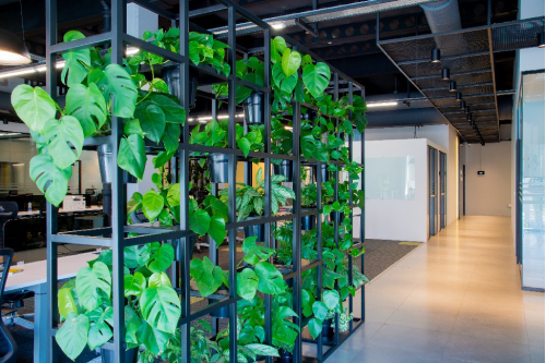 استفاده از طراحی سبز در دفتر فرست سورس